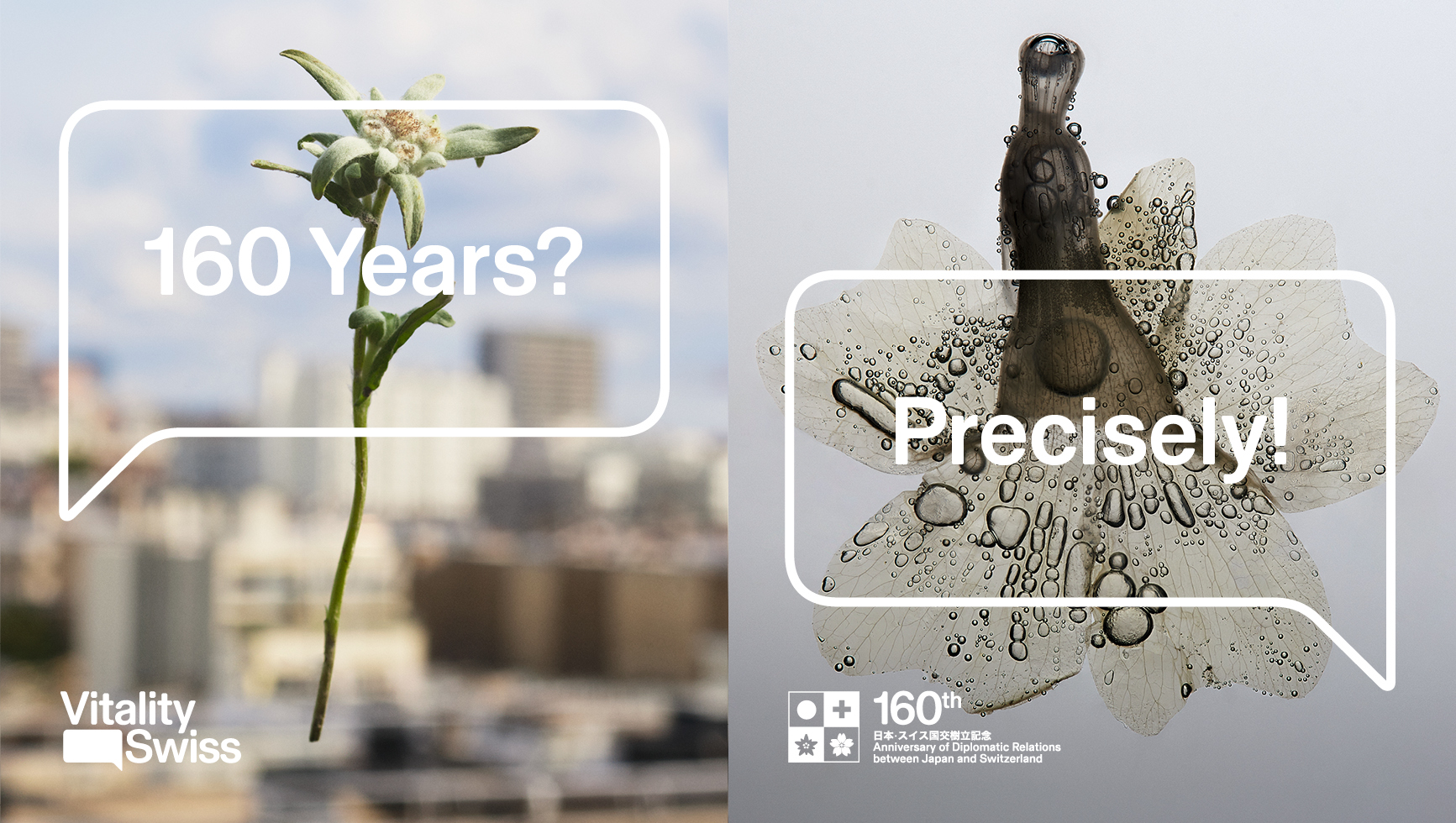 The 160th Anniversary of Diplomatic Relations between Japan and Switzerland image