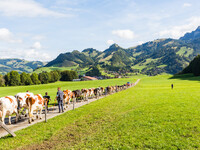 クリーンテックは地球を救えるか? image