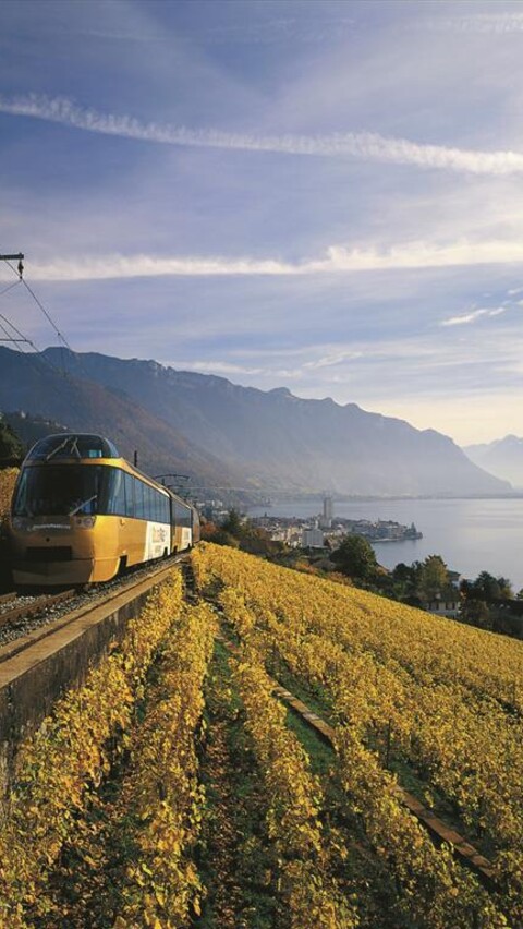 クリーンテック：モビリティ image