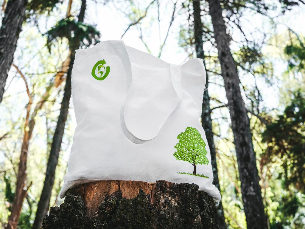Window Fully Biodegradable Pouch with Zip Lock