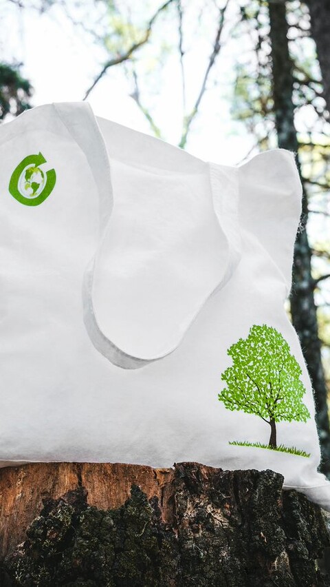 clear biodegradable display bags | compostable | XOandQuin
