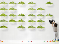 フィットネストレイル image