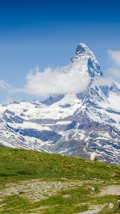 フィットネストレイル image