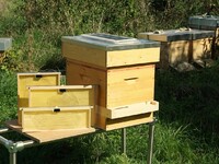 クリーンテック : 生物多様性 image