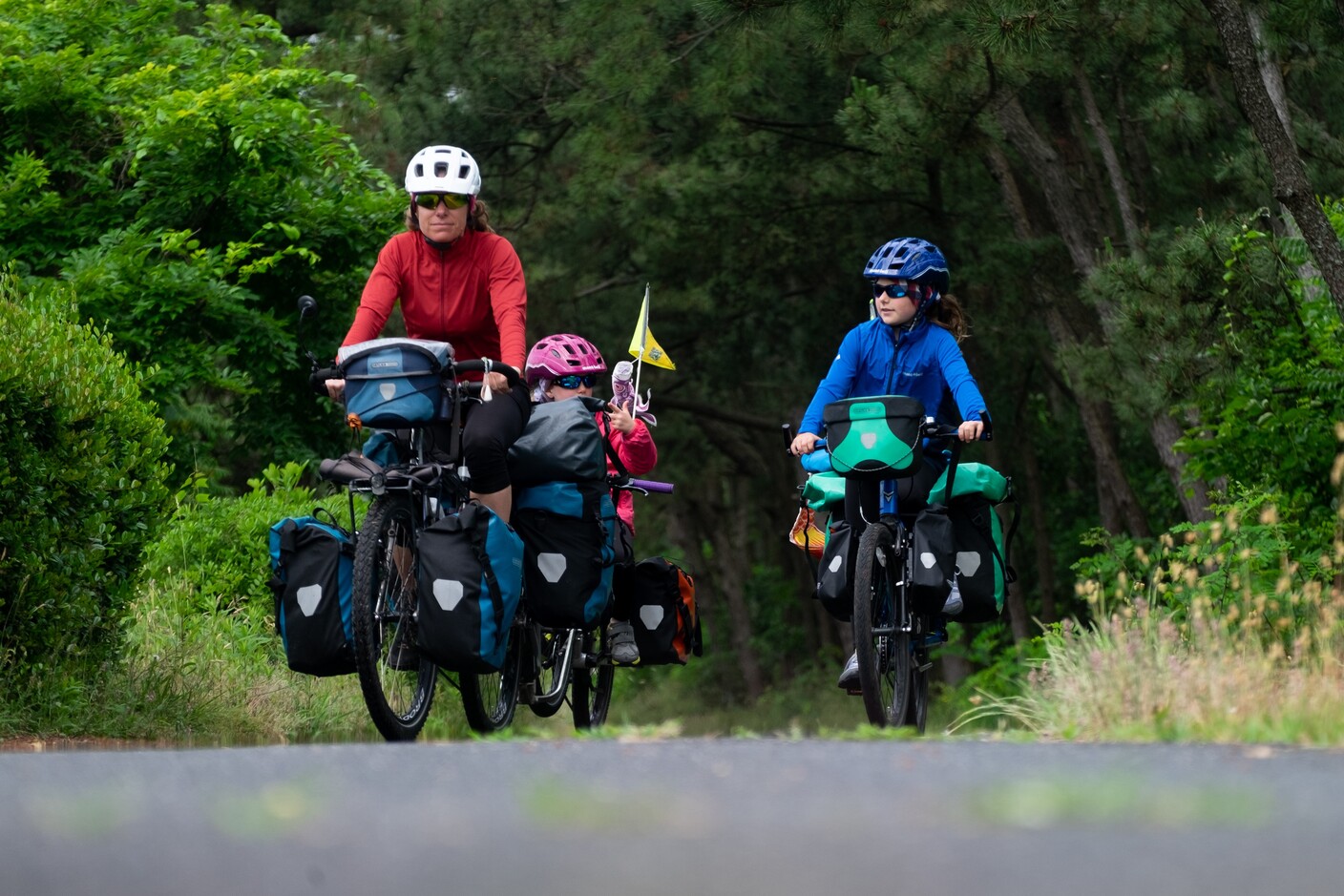 Swiss Adventurer Family touring Japan image