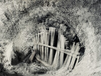 Articles image