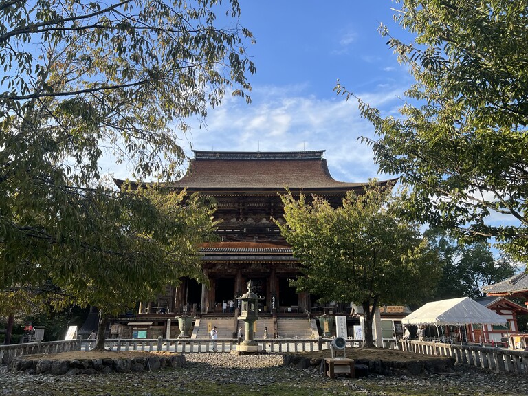 生態系に声を マーカス・メーダー@ Art - YOSHINO 20 ART FESTIVAL - Context of MIND TRAIL – image