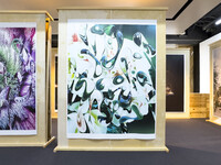 ©TOKYO PHOTOGRAPHIC RESEARCH