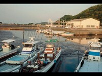 Umi no Oya, 2024, Ewen Chardronnet and Maya Minder