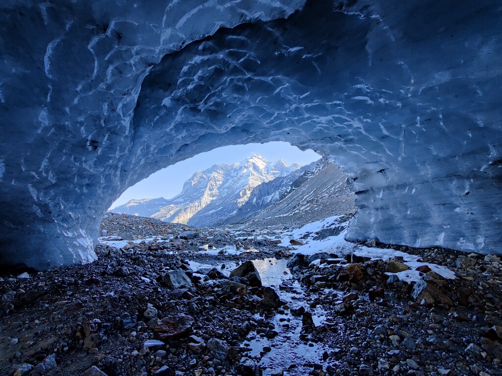 NextGen ミニブログ #1 image