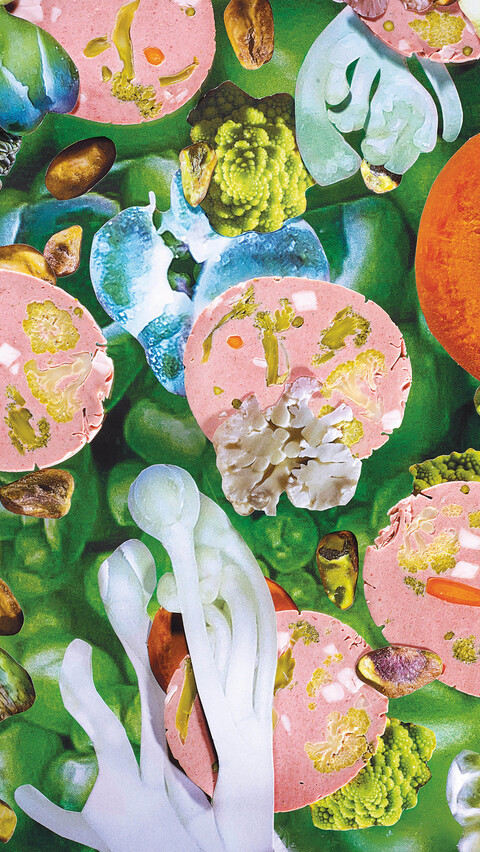 Swiss Vitality Talk 2 image