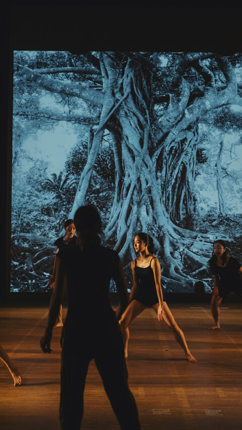 KIZUNA performance image