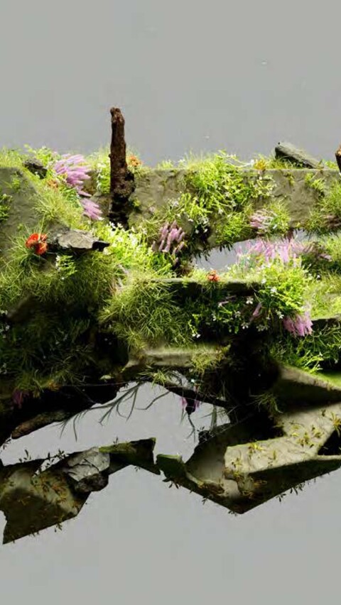 スイス・日本経済フォーラム2024 image