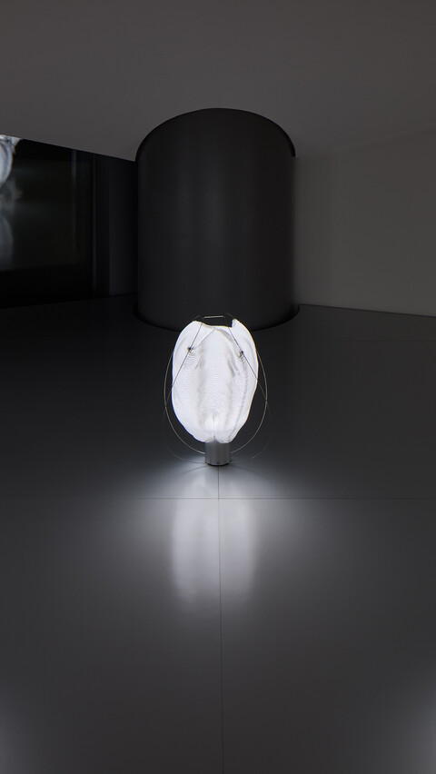 © ISSEY MIYAKE INC.