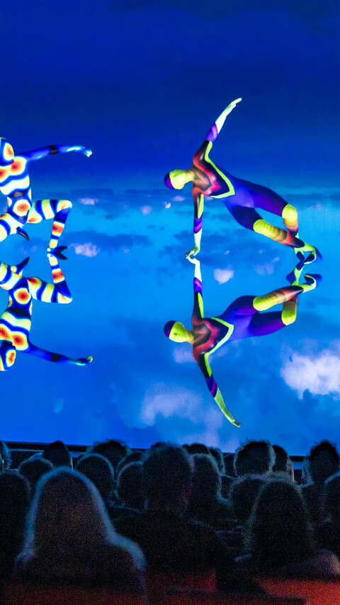 Cosmogony – ジュネーブから横浜へライブ配信 image