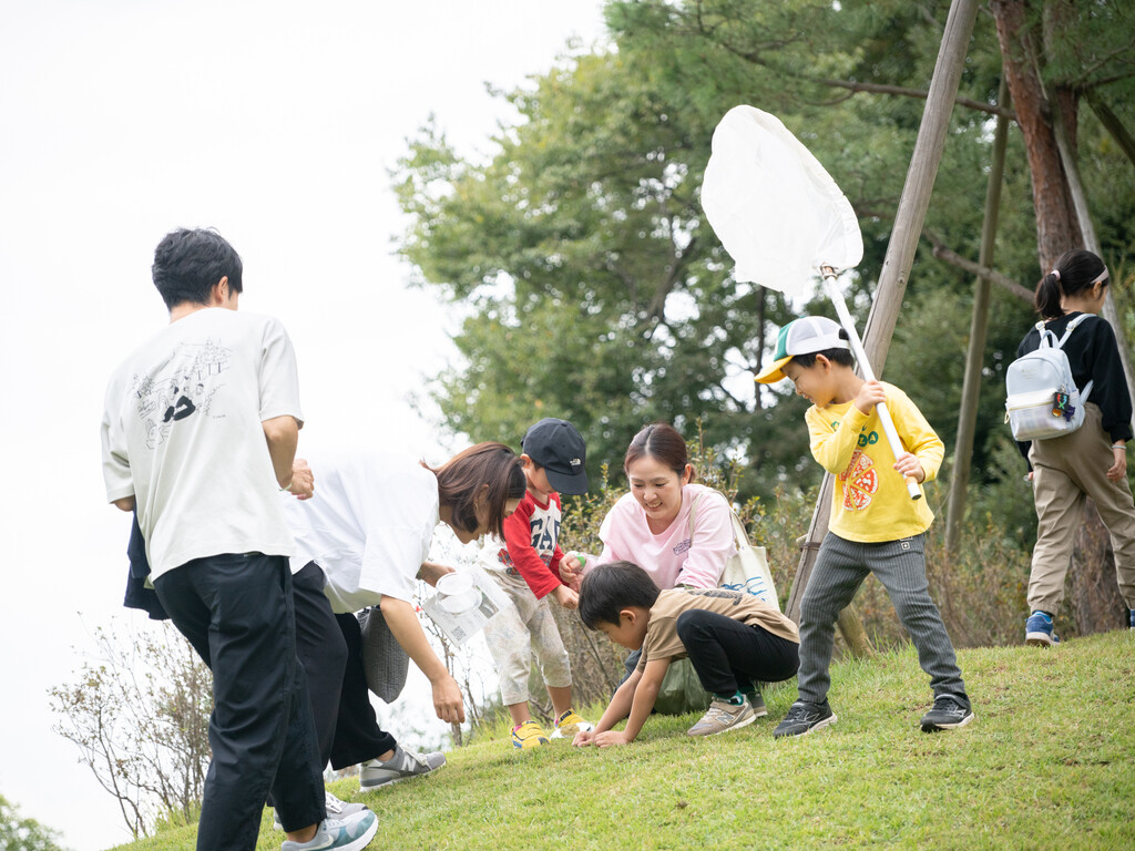 The Garden Experiment image