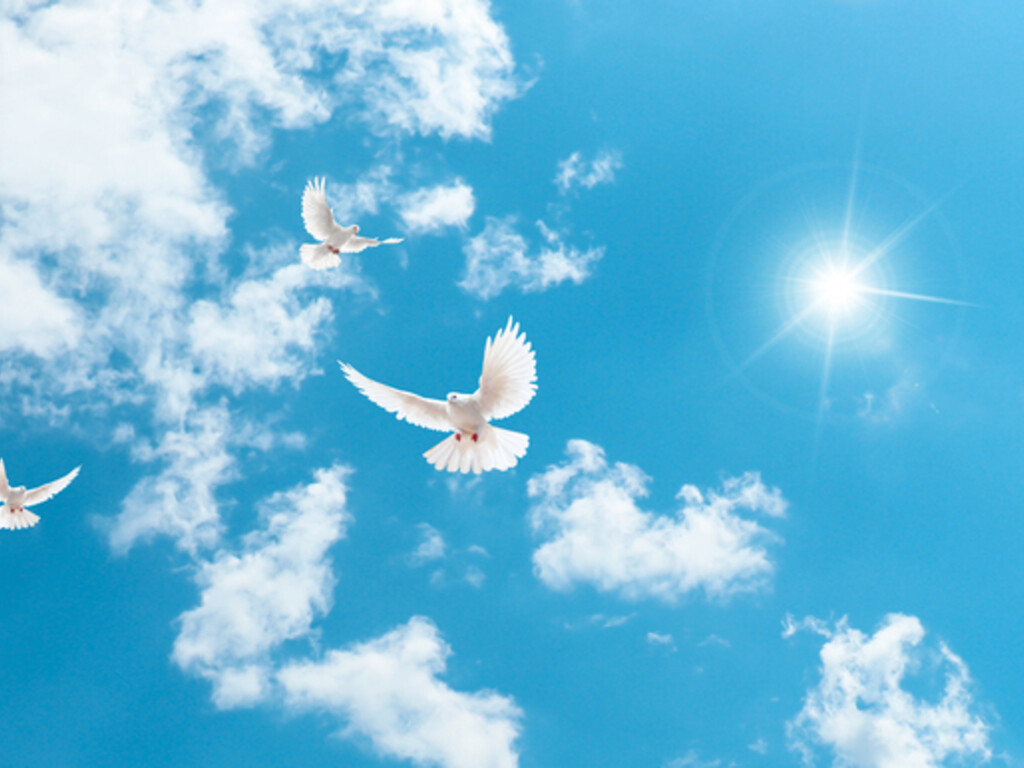 Peace Symposium in Suita City“1970→2025: What is a Harmonious Society?” image