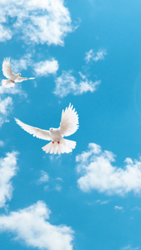 Peace Symposium in Suita City“1970→2025: What is a Harmonious Society?” image