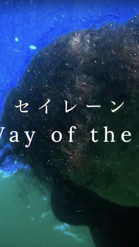 Special Screening & Talk: SIREN image