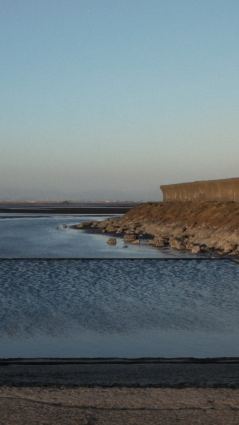 Umi No Oya - Maya Minder and Ewen Chardronnet image